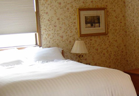 Adolf Hitler'le bir geceye ne dersiniz?