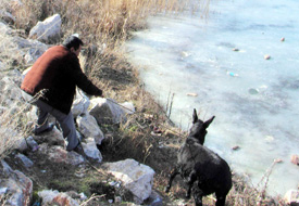 Göle düşen eşeği kurtardılar