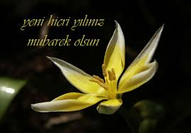 Hicri Yılbaşı Muharrem ayı fazileti ve aşure orucu nedir?