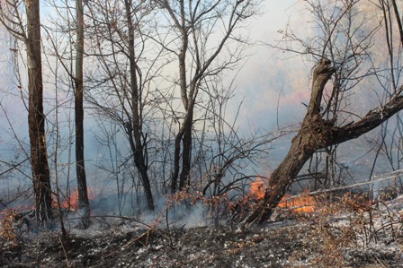 Beyşehir'de bahçe yangını