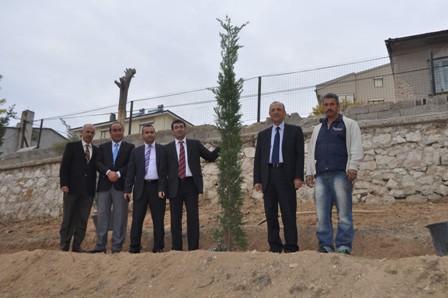Cihanbeyli’de Hükümet Konağı arkası ağaçlandırıldı