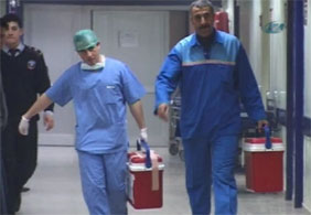 Hayvandan insana organ nakli