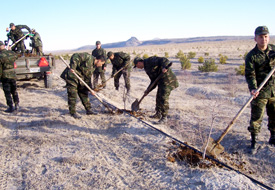 Önce diktiler şimdi bakım yapıyorlar