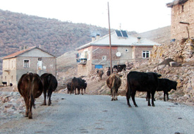 Ödüllü Çiftçi Eğitimi Projesi