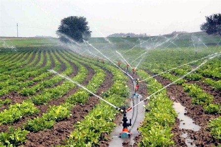 Tarıma 17 milyar liralık yatırım yapılacak