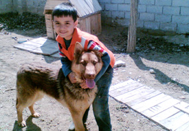 8 yaşındaki Tevfik köpeğine üzülüyor