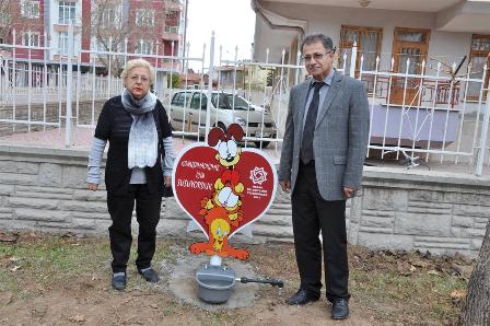 Sahipsiz hayvanlar aç kalmayacak