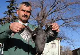 Kaçak avcılar yakalandı