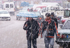 Tarla tapan, Erbain Hamsin...