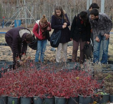 Üniversite kendi bitkisini kendisi üretiyor