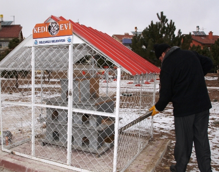 Selçuklu’da hayvanlar unutulmadı