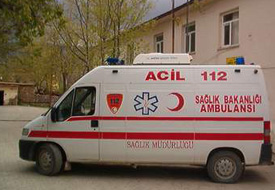 İki kişiye köpek saldırdı