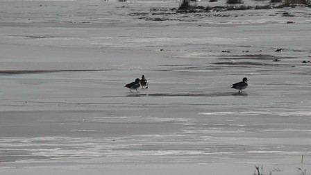 Düden Gölü buz tuttu