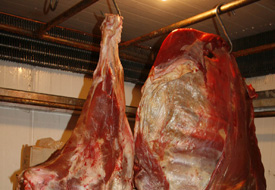 217 kilo kaçak et ele geçirildi