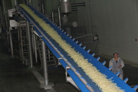 Konya Şeker patates nişastası üretimine başladı
