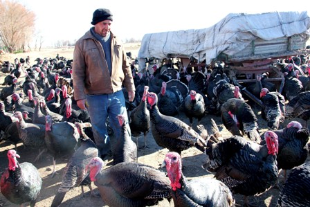 Seydişehir'de hindiler pazara çıktı