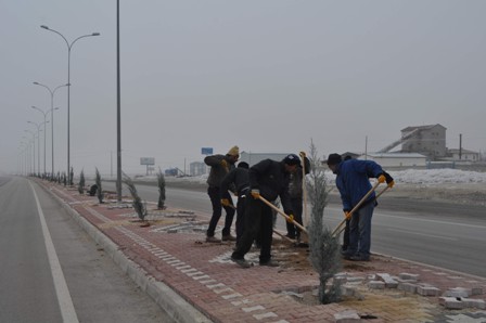 Cihanbeyli’de refüj çalışmalarında sona gelindi