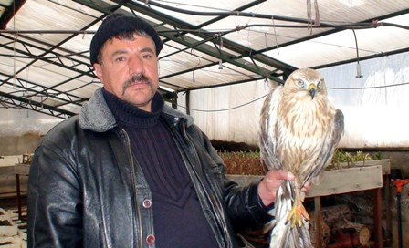 Yaralı şahine işçiler sahip çıktı