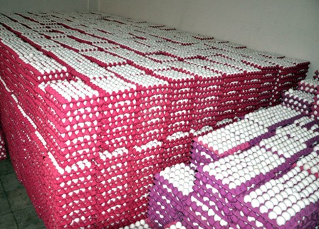 Toptan yumurta fiyatları değişmedi