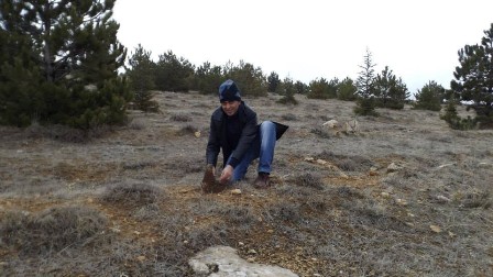 Ormana "Meyve Çekirdeği" ekiyorlar