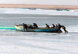 Balıkçıların zorunlu av paydosu uzadı