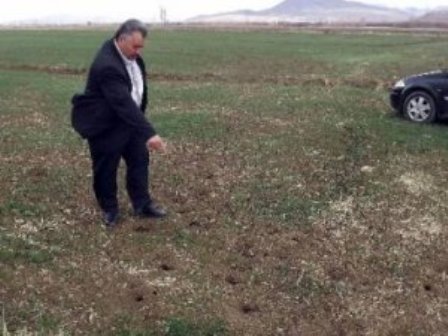 "Seydişehir'de Tarımsal Kuraklık Yok"