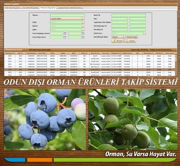 Orman köylüleri ürünlerini aracısız pazarlayabilecek