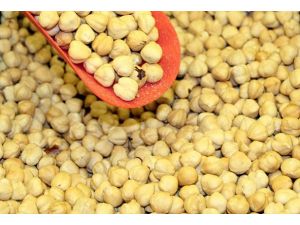 Gribe Karşı Fındık İle Savunma