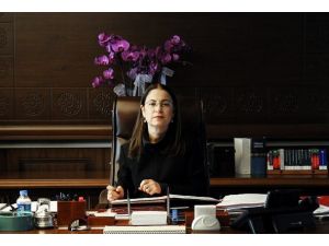 İlgi Alanlarımızın Hiçbiri Diğerinden Daha Önemli Değil