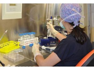 Kök Hücre Nakli 13 Yılda 10 Kat Arttı