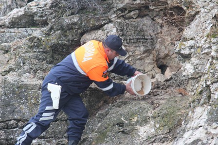 Tavşanlara jandarma sahip çıktı