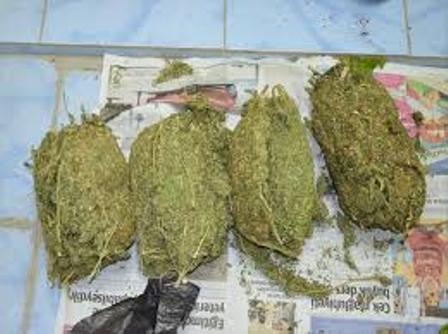 Esrar maddesi ele geçirildi