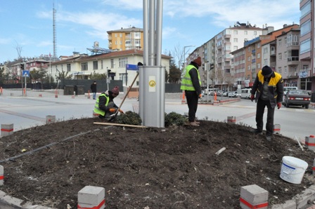 Seydişehir Belediyesi ilçeyi Meilland gülleriyle donatıyor