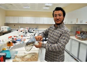 Türk Doktorlardan Yüz Felci Tedavisinde Önemli Adım