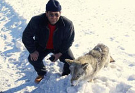 Kurtlar ayakta donar mı?