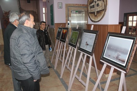 2014 teması Göl sulak alanı oldu