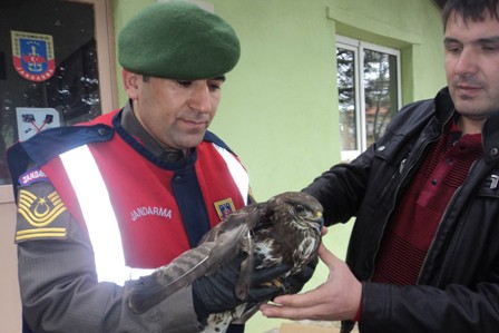 Kanadı kırık kartalı jandarma kurtardı