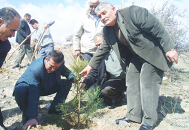 Karapınar erozyonla mücadelede örnek