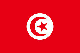 BAE Tunus büyükelçisi Tunus'a döndü