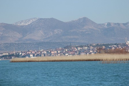 Sazlıklar su kuşları için önemli