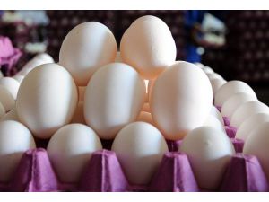 Hızlı refleks için yumurta yiyin