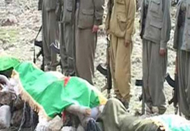 PKK cesetlerini toplamaya başladı