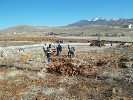 Hüyük'te ağaçlandırma çalışmaları başladı