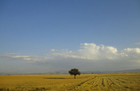 Konya Ovası'ndaki meteorolojik kuraklık