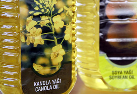 Altınekinli çiftçiler de kanola yetiştirecek