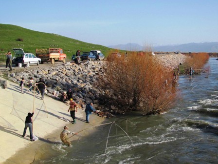 Seydişehir'de Amatör Olta Balıkçılığı Belgesi için rekor başvuru