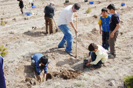 Okul bahçesine 150 fidan diktiler
