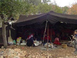 ÇADIRDAN KIZ KAÇIRMA