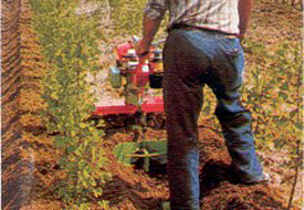 Çapa makinesine ayağını kaptırdı