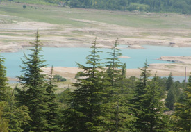 Ereğlili çiftçiler yağışlara sevindi